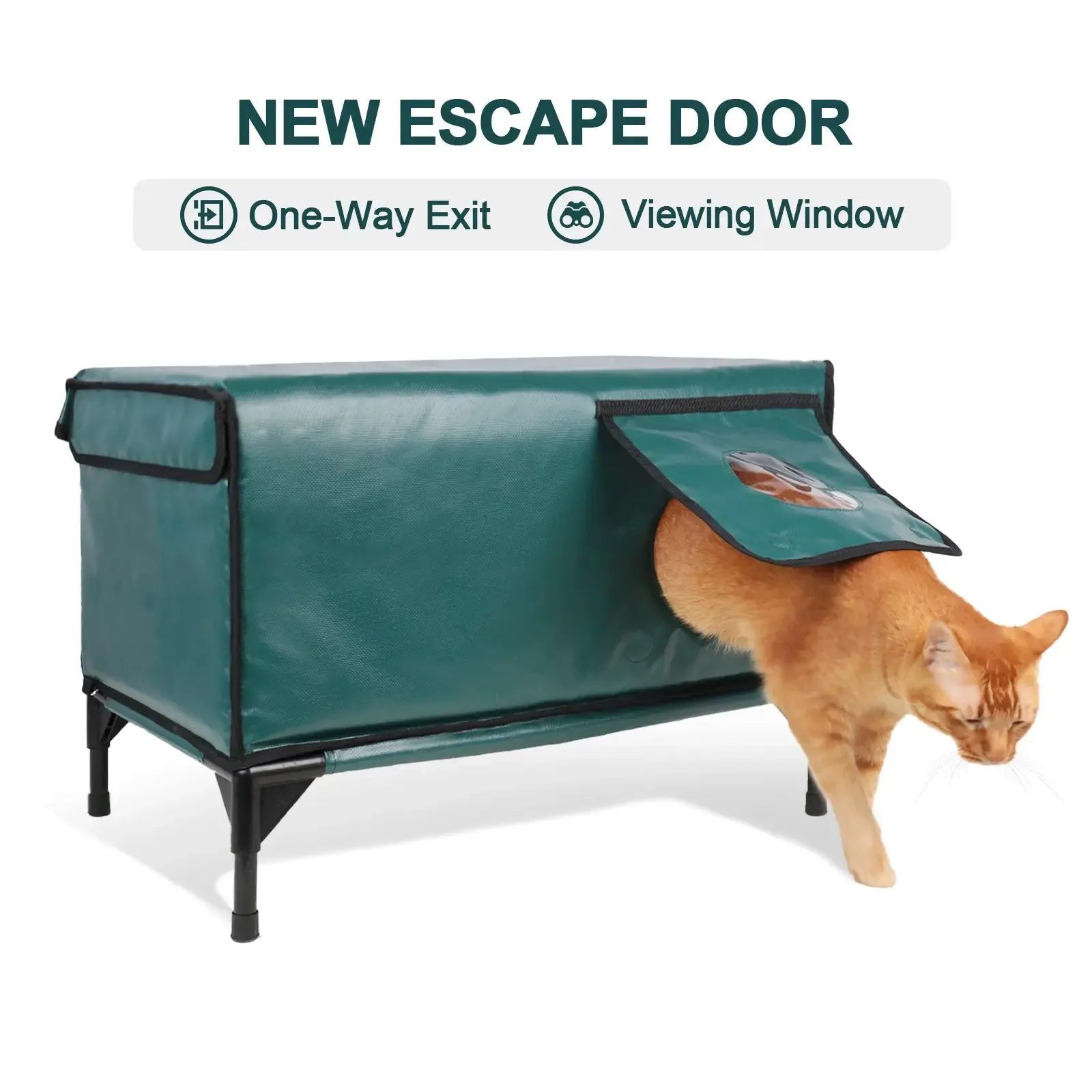 2-Door Lift-Top Elevated Heated Outdoor Cat House Large with CCTV