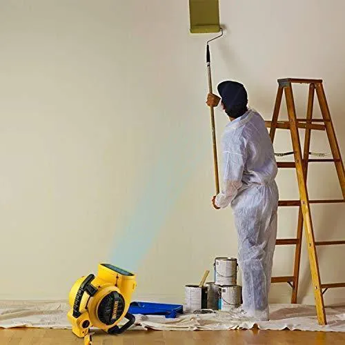 DeWalt DXAM-2260 Portable Air Mover/Floor Dryer, 600 Cfm