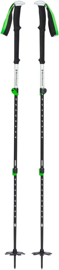 Expedition 3 Ski Poles