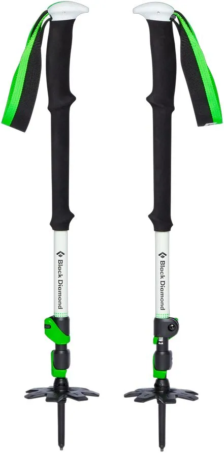 Expedition 3 Ski Poles