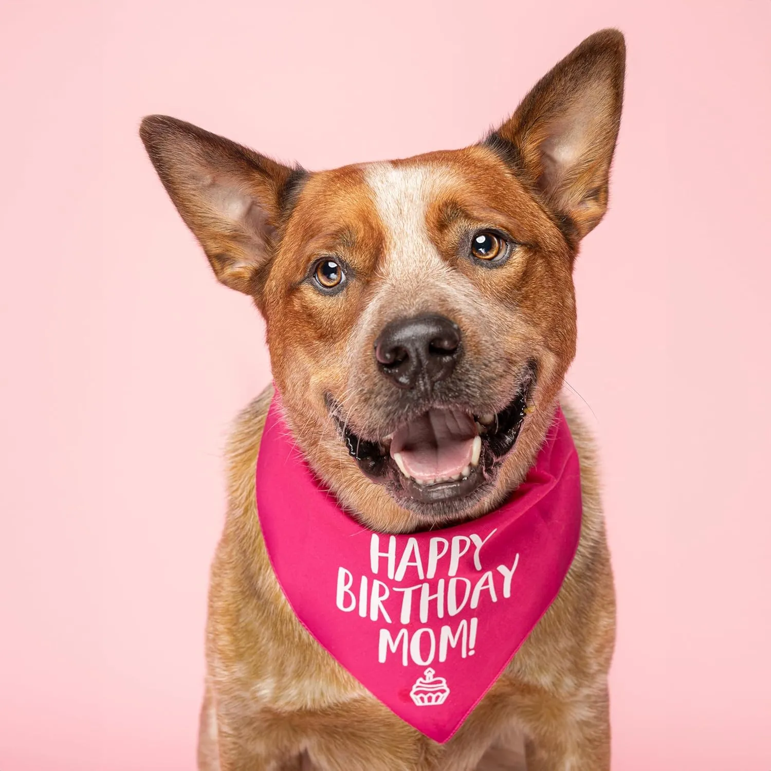 Happy Birthday Mom! Dog Bandana (Purple, OS 168)