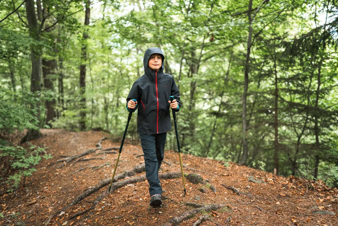Kid's Hiking Pole Adjustable x1