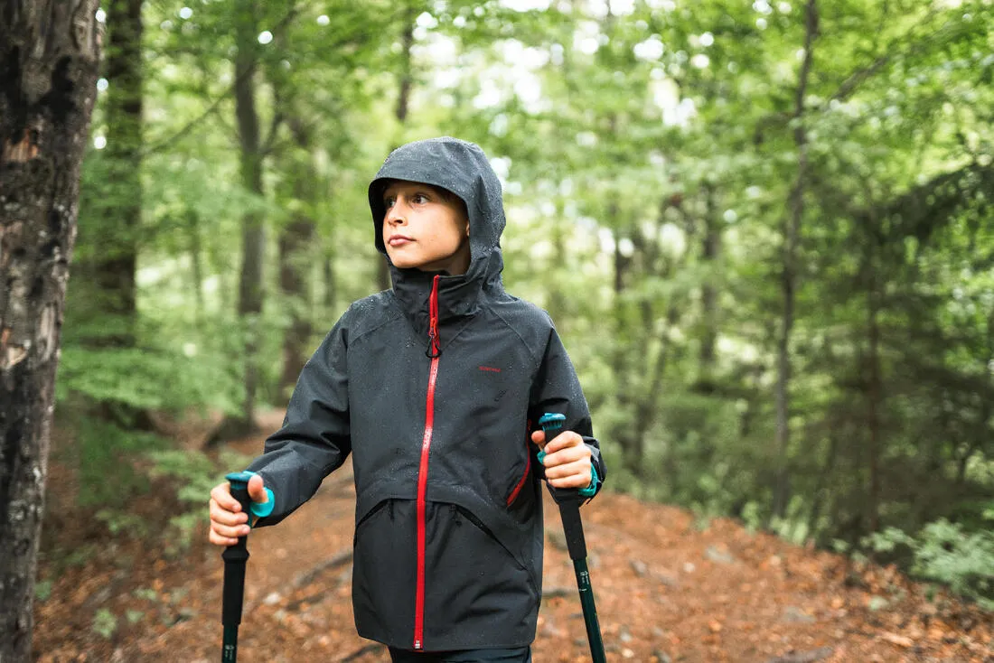 Kid's Hiking Pole Adjustable x1